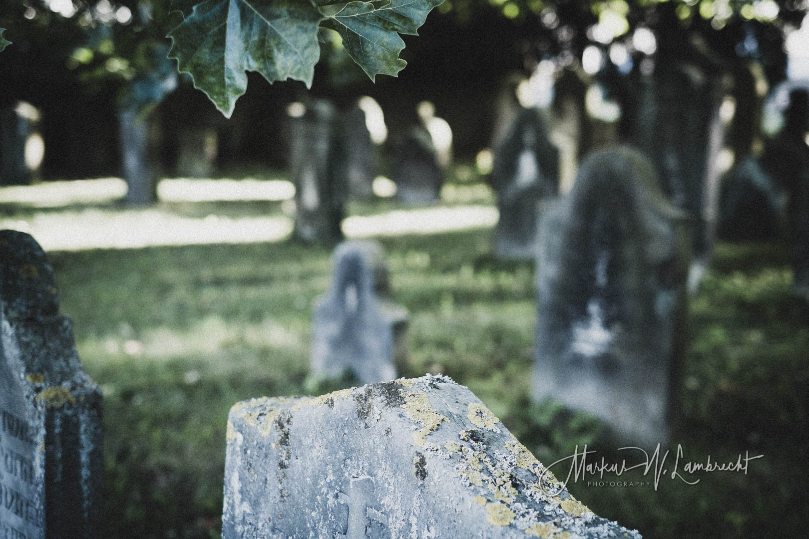 Hameln, Jüdischer Friedhof